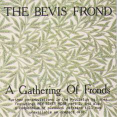 Bevis Frond : A Gathering of Fronds